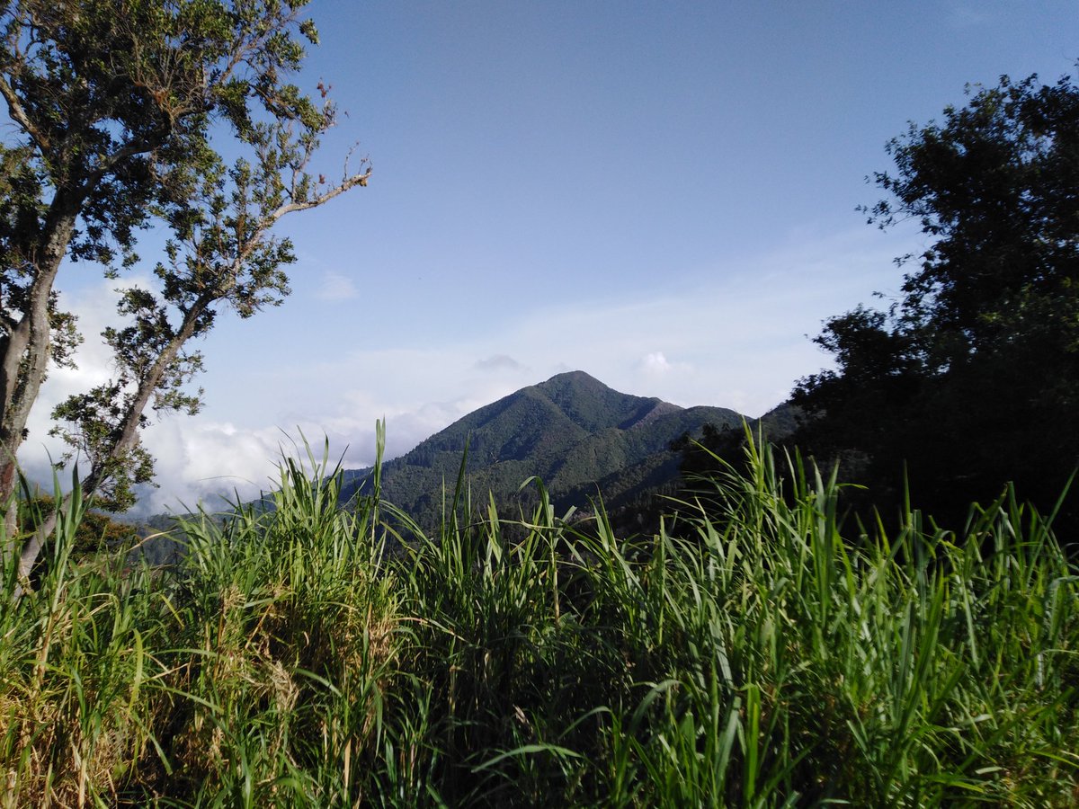 Can't wait to get back... #Bushlife