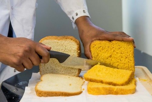 RootsTubersBananas Breeding tweet media