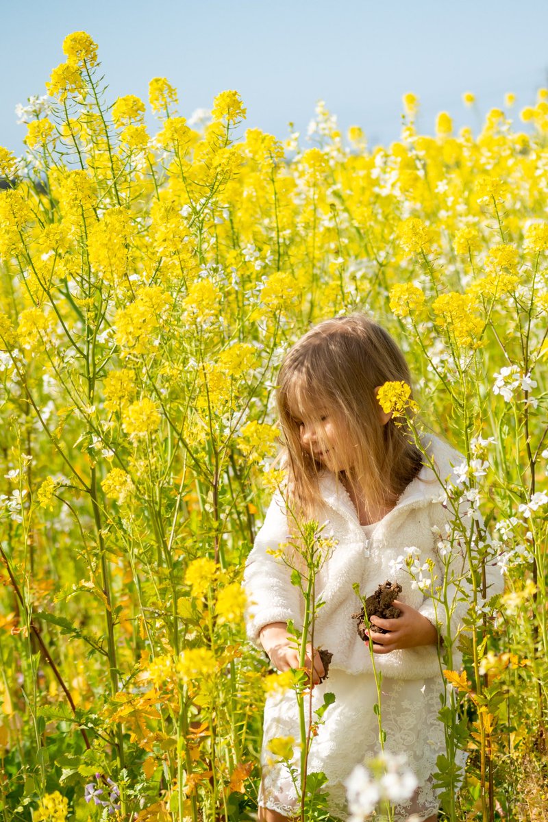BayleeYoung's tweet image. Never get too busy to dance in a field of flowers 🌼

instagram.com/p/CNAvDgegR-L/…

#SpringInCalifornia #Spring #CaliLiving