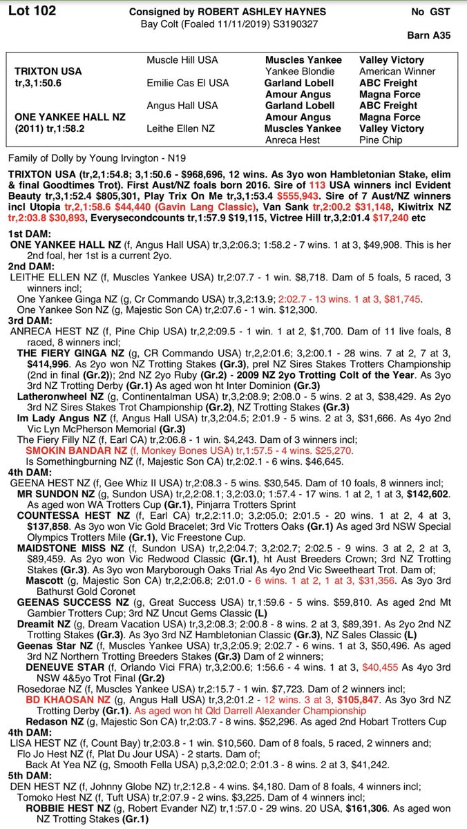 BenstudS's tweet photo. LOT 102 🦋
Trixton / One Yankee Hall - Colt 

Catch a look at this fella and all the other Benstud Yearlings in Barn A 🦋 

https://t.co/nv3LFNjeMh

@HarnessBreeders  @HarnessBreedNSW @NutrienEquineSB https://t.co/APeWcwbkFw