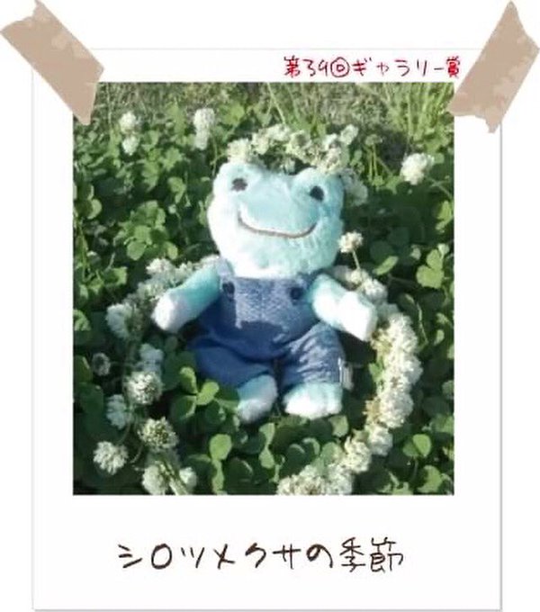 Picklesthefrog6さんのイラストまとめ 2ページ目