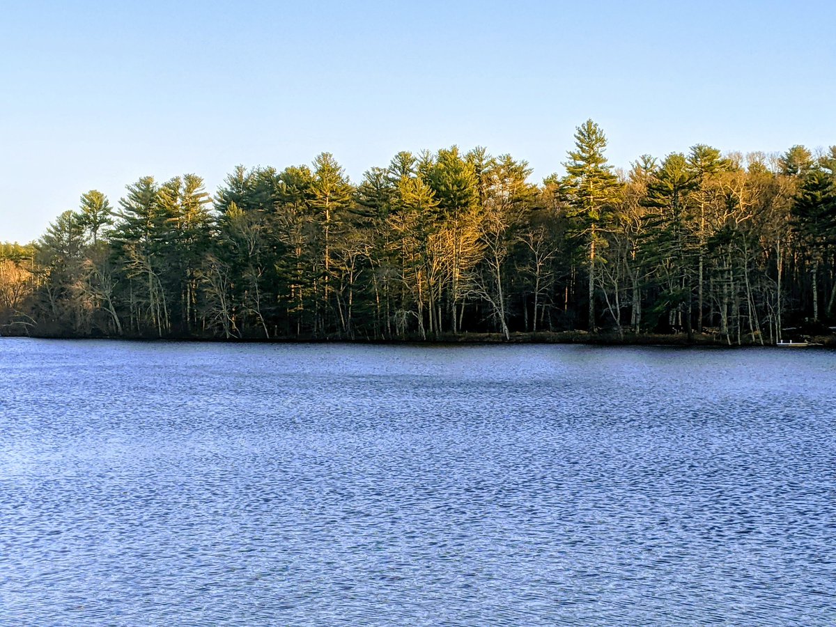 🌲🐻 Beautiful cool afternoon!