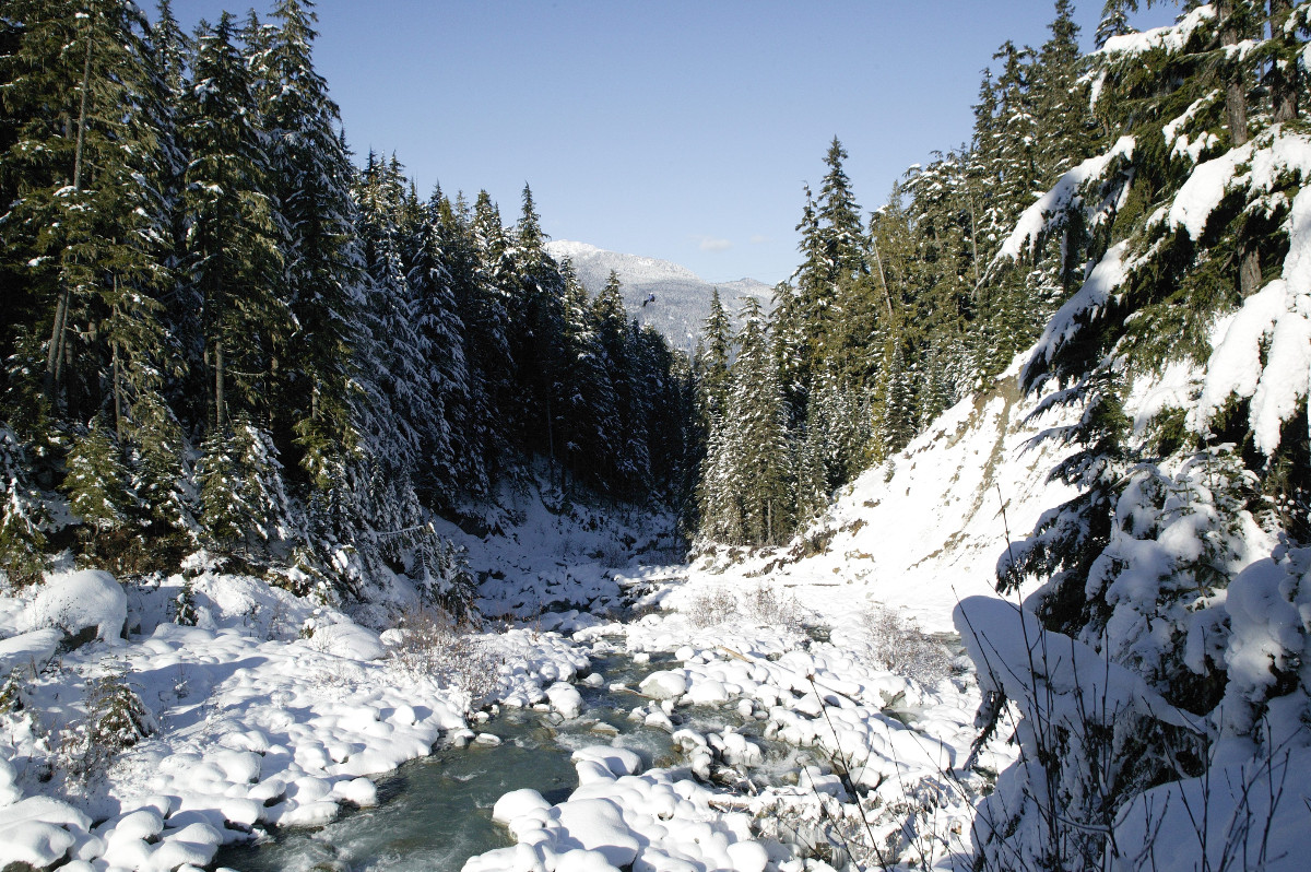 Given the recent orders by the Province of BC that have mandated the closure of Whistler Blackcomb until April 19th in an effort to reduce the spread of Covid 19, Ziptrek has decided to close for that period as well. We appreciate your understanding and patience during this time.