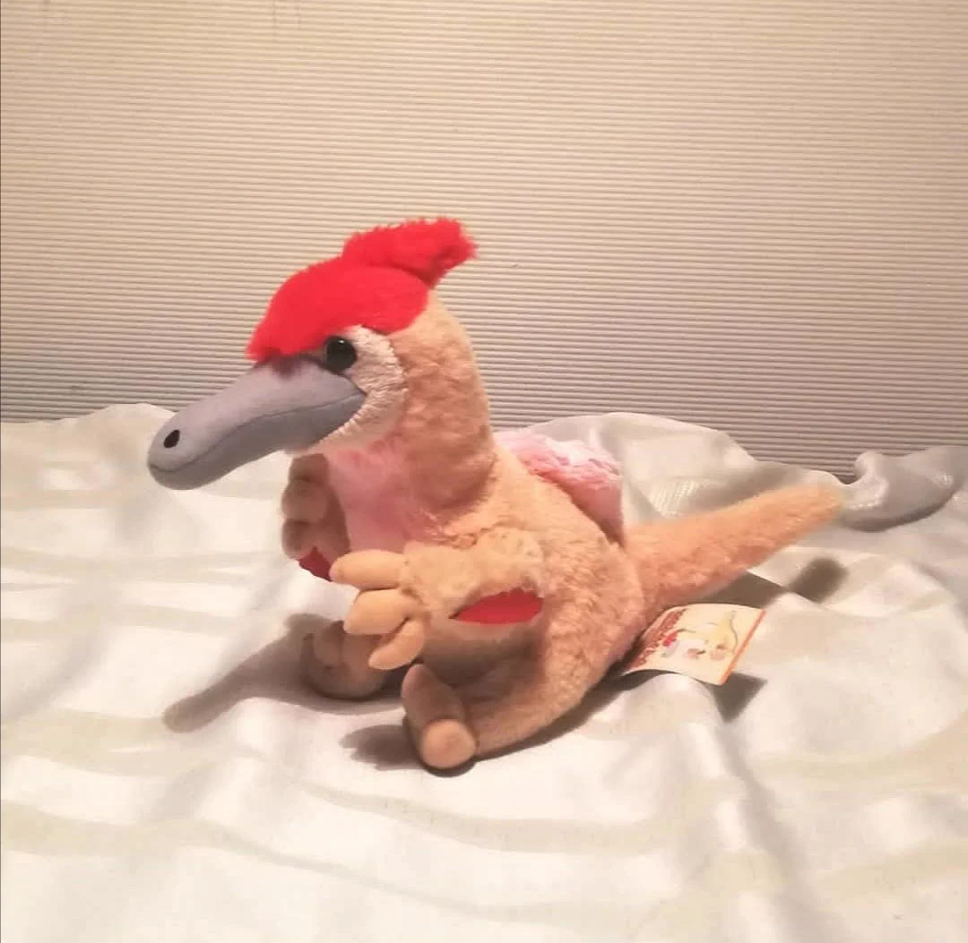 @CoccoNiwatori へんてこ恐竜デイノケイルスを知ってから名古屋コーチンが好きになって、ツイッター羨ましく見てます！　そしてうちのわんこが5㎏なので想像できすぎてます。
かわいいです🧡 