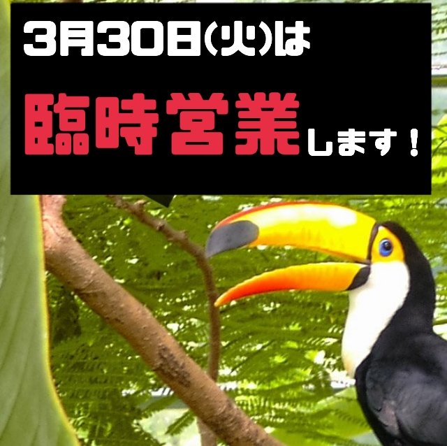 栃木県井頭公園 公式 Igashirakouen Twitter