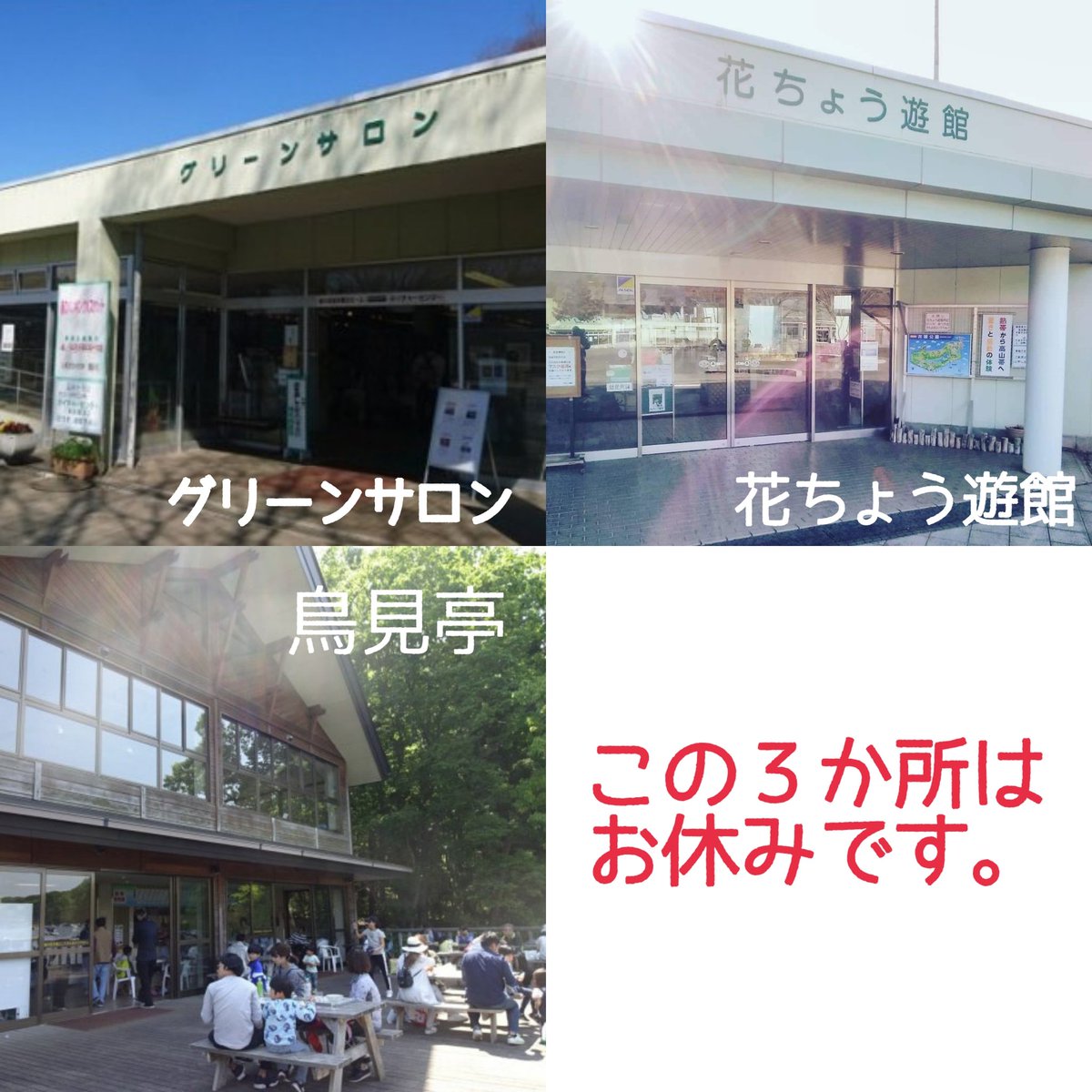 栃木県井頭公園 公式 Igashirakouen Twitter