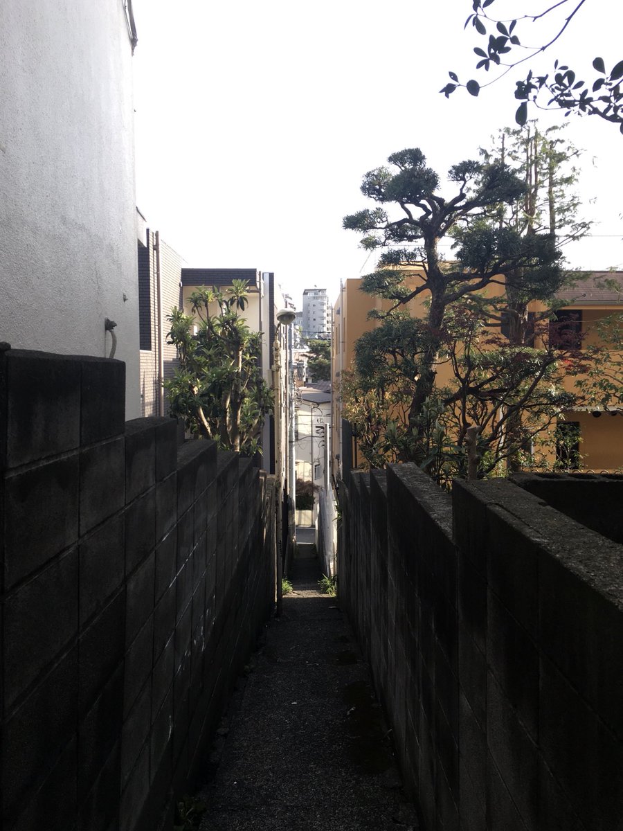 miocoffeecoffee's tweet photo. For anybody who likes a hidden pathway. #tokyo #secretpathway https://t.co/Qf4zlcvS6Y