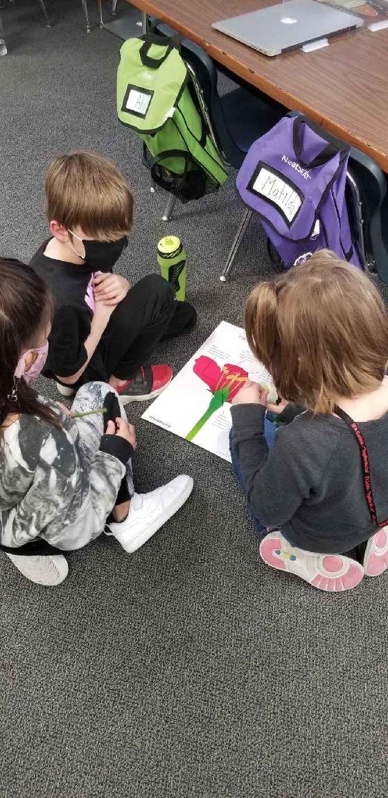 smoore2nd's tweet photo. In science, 2nd graders are learning about the different parts of a flower. https://t.co/jphplr8krv
