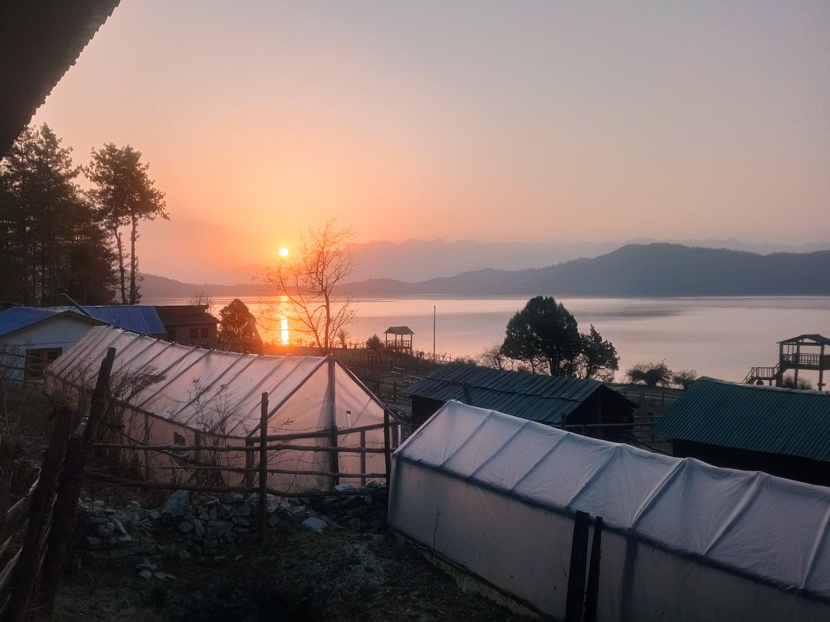 Deepak Prakash Bhatt, PhD tweet media