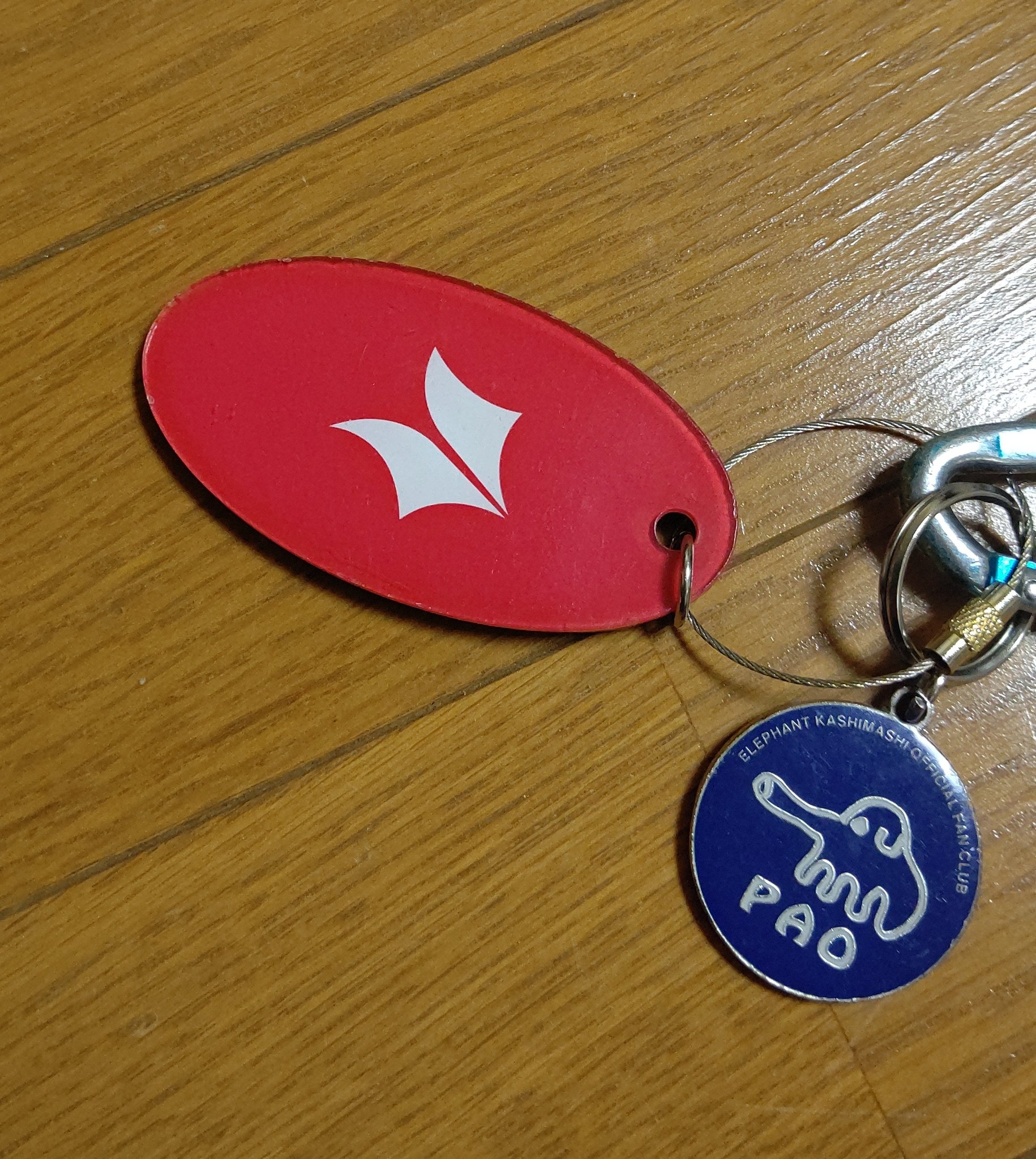 宮本浩次 キーホルダー 冬の花 エレファントカシマシ