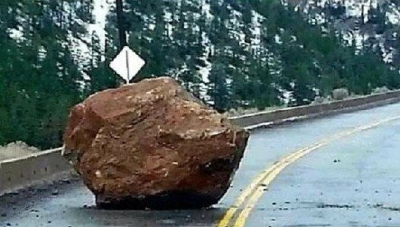 Roshan_Rinaldi's tweet photo. I bet there's a coyote under that. https://t.co/Qw6HAKoHQF