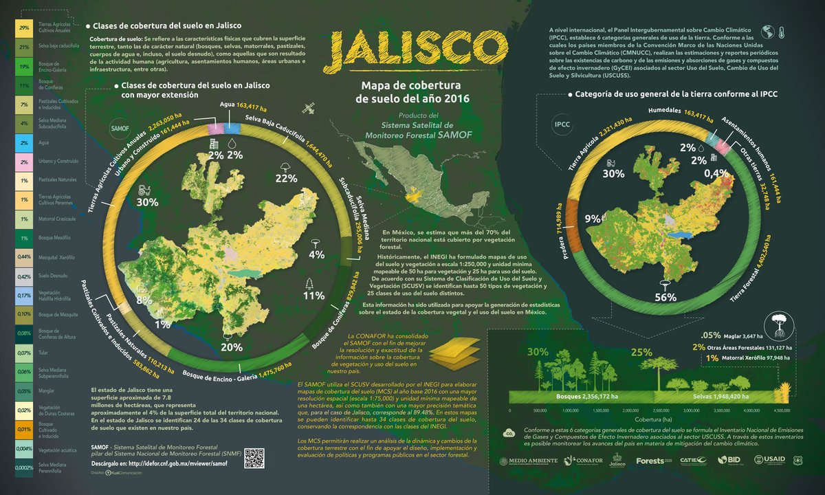 CONAFOR's tweet photo. Nuestro Sistema Satelital🛰️ de Monitoreo👀 Forestal 🌲#SAMOF 😮 indica que ↙️
En el estado de #Jalisco es posible identificar 13 clases de cobertura de vegetación🌲🌳, cuya extensión corresponde al 53% de su territorio. https://t.co/vCCXS71FSa