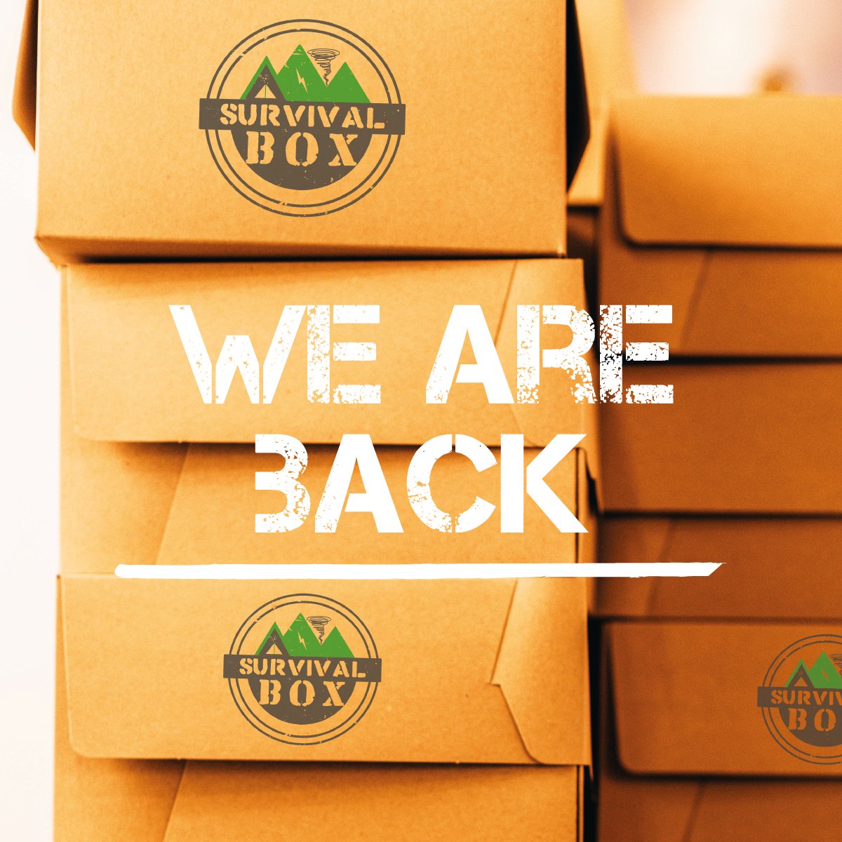 SurvivalBoxes's tweet photo. MASSIVE ALERT☢️‼️

WE-ARE-BACK

When you live to the limits, you need Survival Box to take you beyond🪂.

#survivalbox #survivalboxsubscription #preppers #survivalinabox #monthlysubscriptionbox #survivalboxes #outdoors #adventurer https://t.co/k2FtH7fNp3