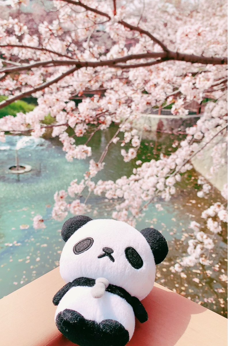 おじぱん 公式 Ojipan Qlia ট ইট র