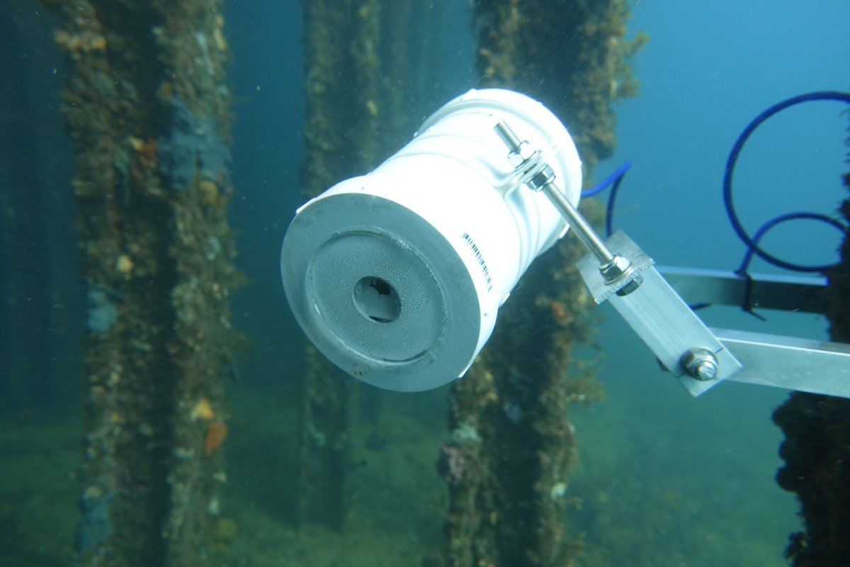 ausocean's tweet photo. Have a look beneath the surface↩️
📸 @Trek_H https://t.co/2s6xEg5YXH