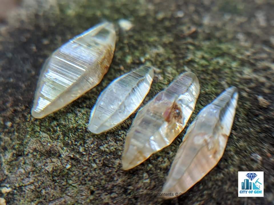 CityOfGem's tweet image. Ceylon Natural Double Terminated Colourless Sapphire Complete Crystals (Shiny glass body )

cityofgem.com

#crystal #glassbody #shiny #natural #unheated #untreated #sapphire #sapphirecrystal #colourless #white #whitesapphire #whitesapphirecrystal #colourlessgem #pendant