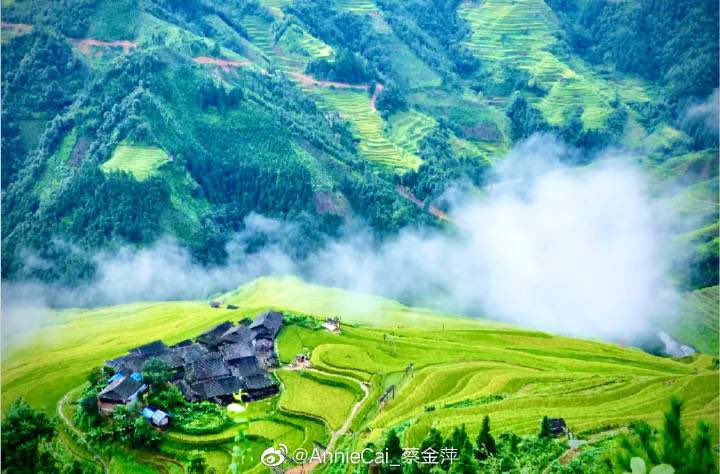 LiveinGuizhou's tweet photo. Hidden Gems: the terrace at Qiandongnan’s Jiabang township
Credit: AnnieCai_Cai Jinping https://t.co/AB6FygdVHc