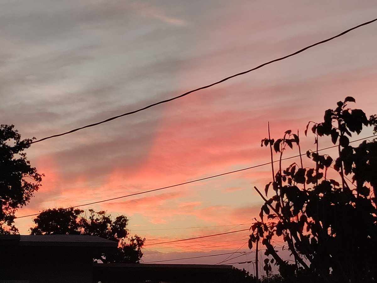 chelliebeach954's tweet photo. My last THREE Samsung Galaxies annoyed me. #newphone LOOK AT THAT COLOR! No filters! #oneplusN10 https://t.co/pkLLy18NHr