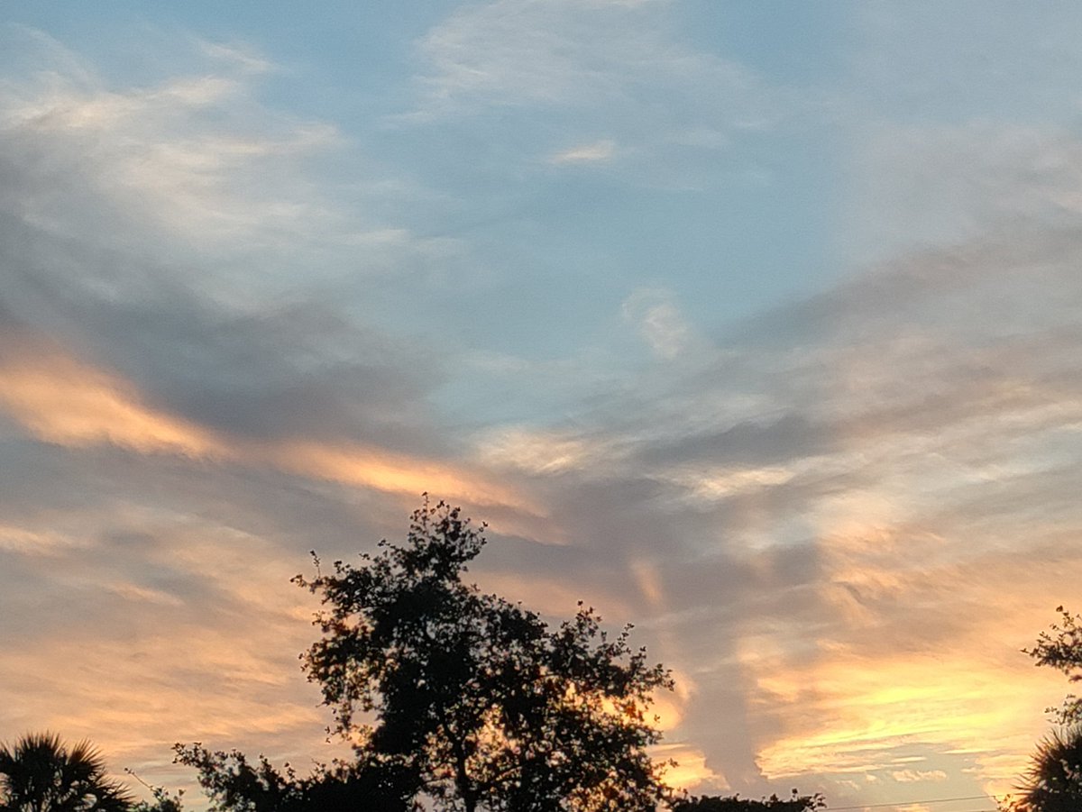 chelliebeach954's tweet photo. My last THREE Samsung Galaxies annoyed me. #newphone LOOK AT THAT COLOR! No filters! #oneplusN10 https://t.co/pkLLy18NHr