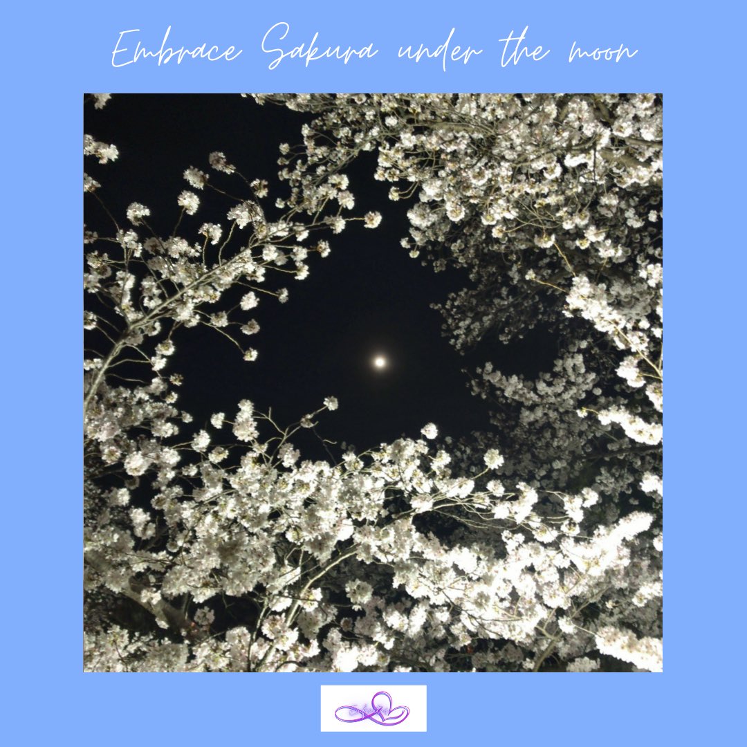 emfinitus's tweet photo. Embrace Sakura under the moon
月下の桜を愛でて🌸
#Emfinitus #Sakura #cherryblossoms #WaCulture #spring #flowergazing #meditation #elegance https://t.co/jenk9kTJMe