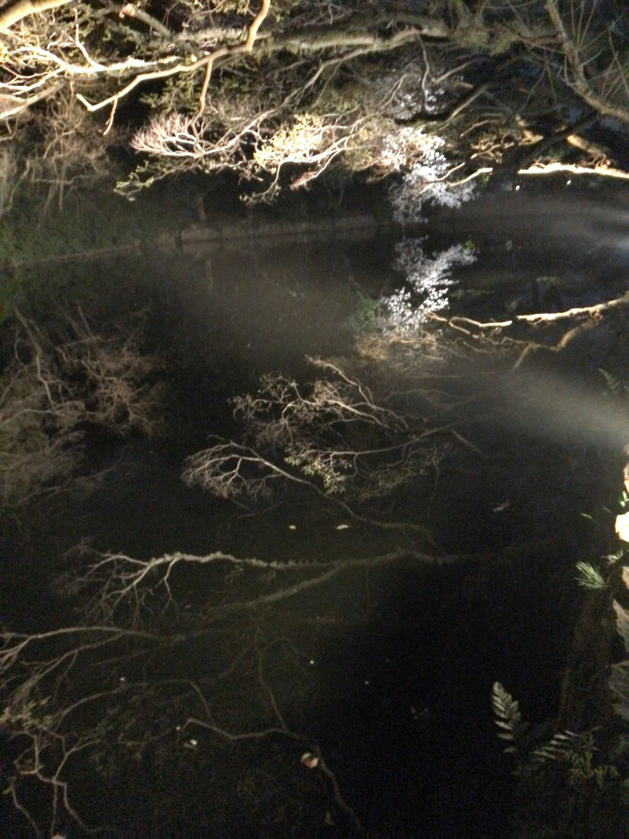 emfinitus's tweet photo. Embrace Sakura under the moon
月下の桜を愛でて🌸
#Emfinitus #Sakura #cherryblossoms #WaCulture #spring #flowergazing #meditation #elegance https://t.co/jenk9kTJMe