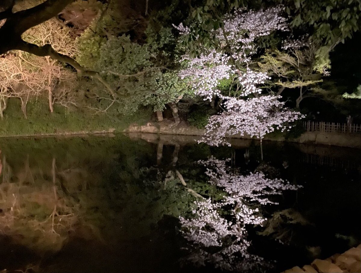 emfinitus's tweet photo. Embrace Sakura under the moon
月下の桜を愛でて🌸
#Emfinitus #Sakura #cherryblossoms #WaCulture #spring #flowergazing #meditation #elegance https://t.co/jenk9kTJMe