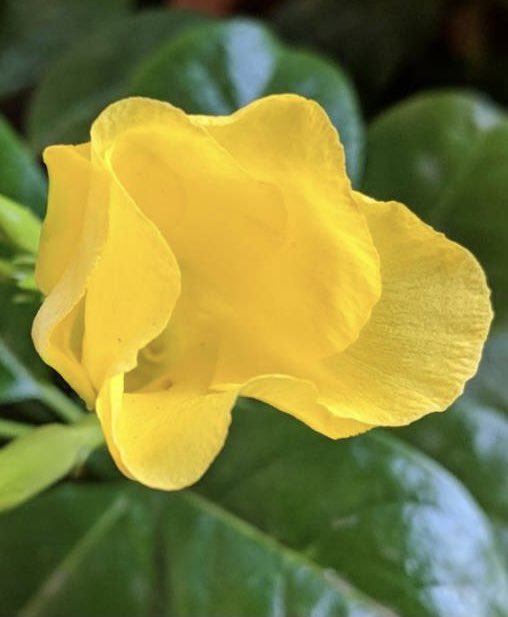 Prabir Jha tweet media