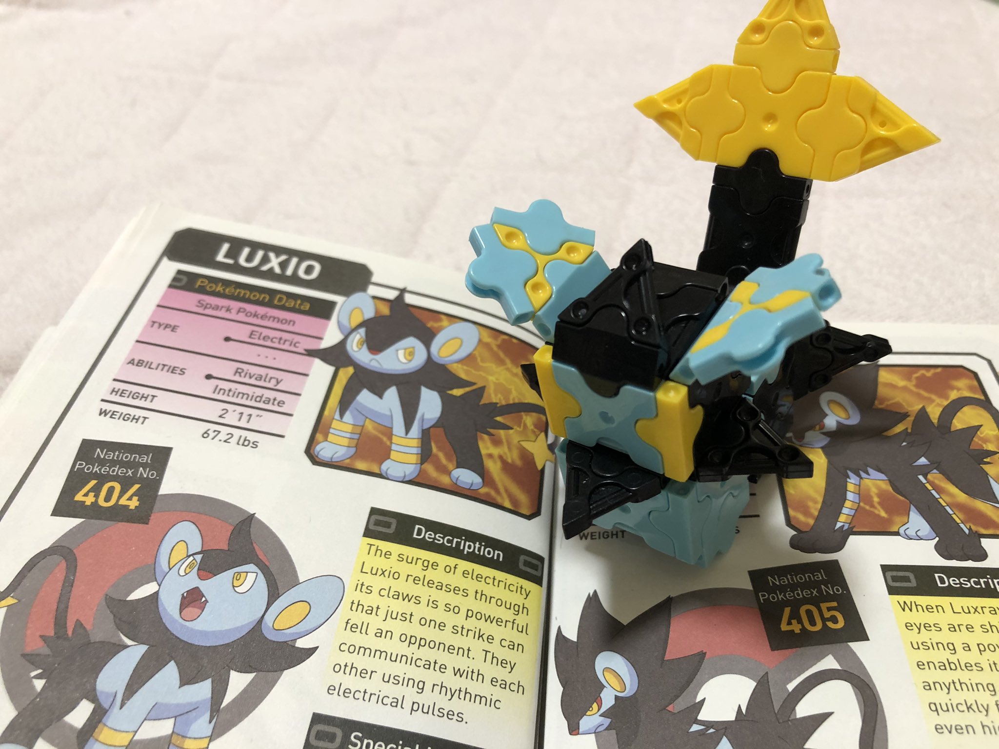 浅川直樹 Naoki Asakawa Laqマスター Rt Yukiyoyoyon Laqでポケモンを作る日々 だいたい ポケモン作るときのパターンがある模様 わが家のポケモン図鑑が英語なので 母は適当に名前を読んでいますが ラクシオなのかルクシオなのかわかりません 日本