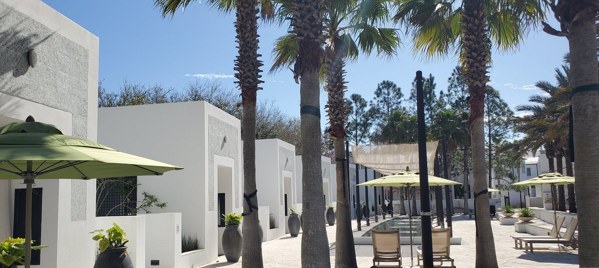 Sunshine and Vine | Travel Blog tweet media