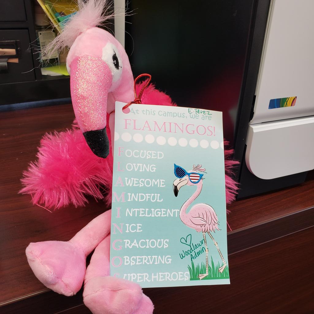 kaortiz181's tweet photo. Congratulations to Ms. Este Perez for being selected as our Outstanding Flam-Azing teacher of the week! Our Flamingo Flock Rocks!
#CCISDPride
@WoodlawnCCISD 
@KBooEdu 
@JohnAPrezas https://t.co/MxZ1dTHmN0