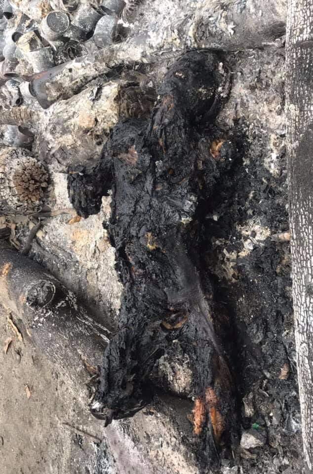Tw// Graphic content
Military terrorists burnt down a person in South Dagon. The identity of the person still not confirmed. 
#WhatsHappeningInMyanmar 
#Mar30Coup