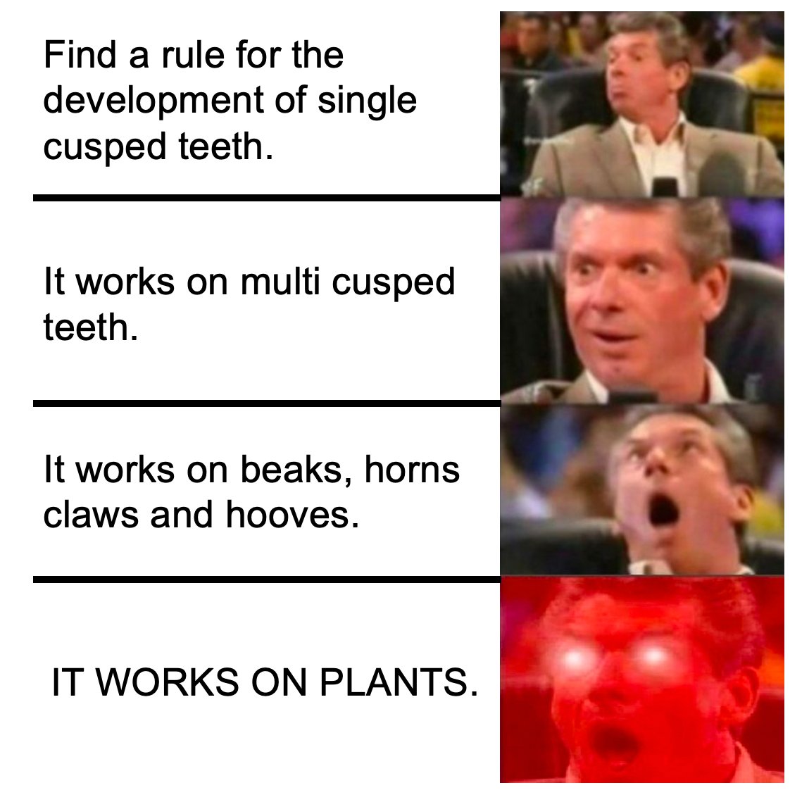 William Parker tweet media