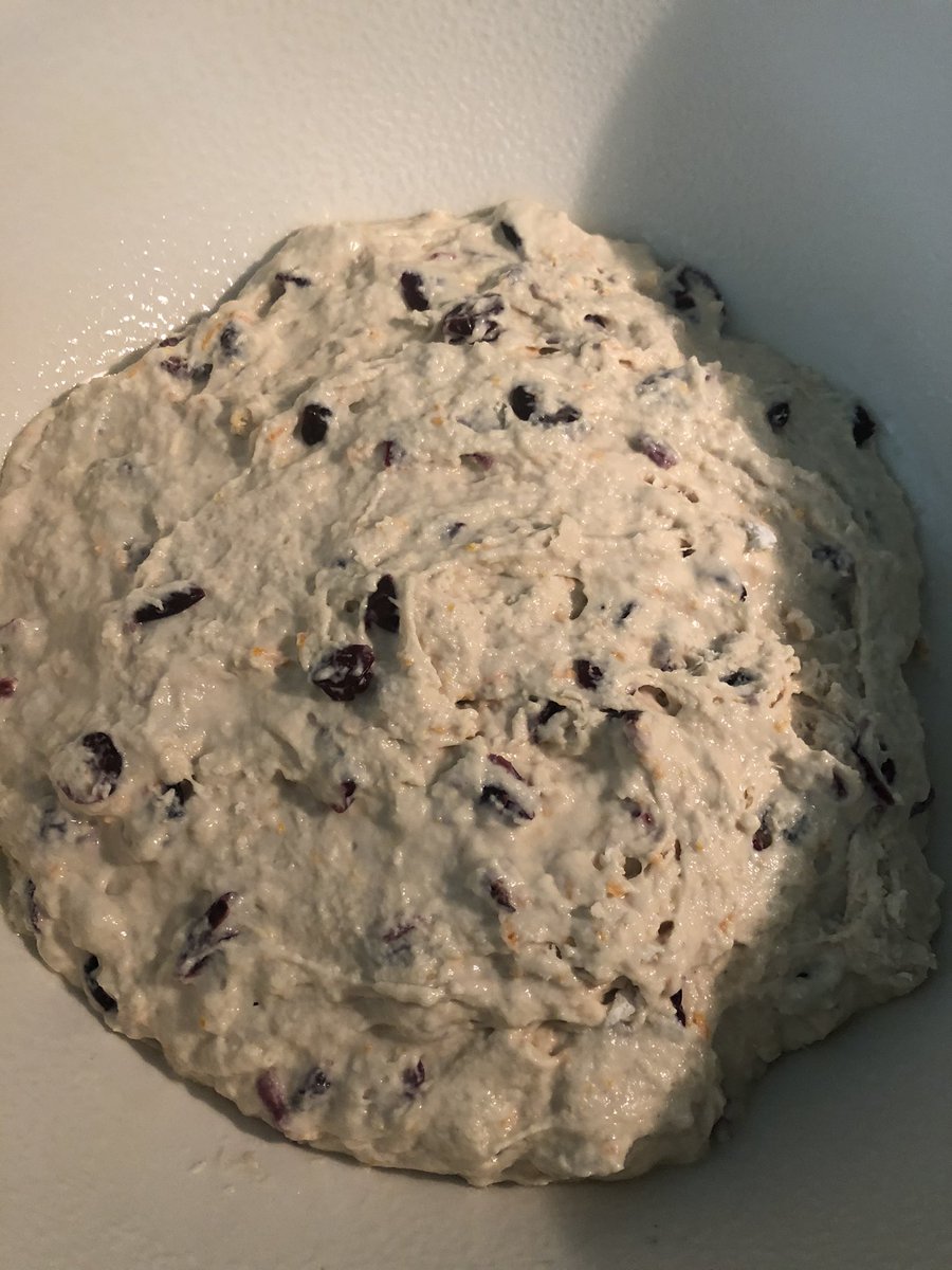 IJustDontLikeU_'s tweet image. Homemade rustic cranberry Orange bread ... has to proof for 18-24 hrs. #missbettycrocker #rusticbread #crustybread
