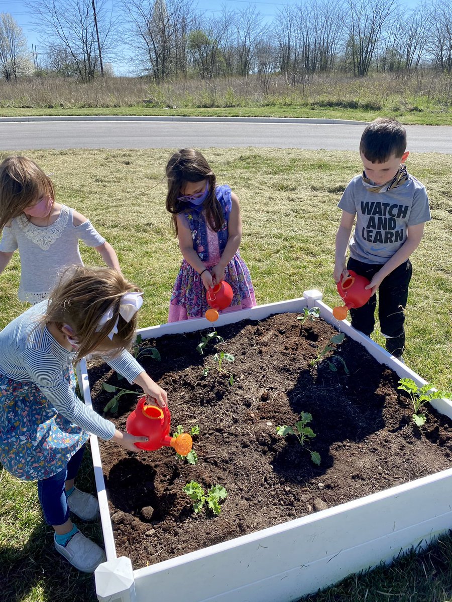 robyn hagerman (@robynhagerman) on Twitter photo Today was planting day in the Fulbright Community Garden. We had lots of fun digging, watering, and saying kind things to our plants. My favorite... You were a baby but now you’re all grown up and ready for your own dirt. ❤️ Thanks <a href="/Foundation4SPS/">Foundation for SPS</a> Today was planting day in the Fulbright Community Garden. We had lots of fun digging, watering, and saying kind things to our plants. My favorite... You were a baby but now you’re all grown up and ready for your own dirt. ❤️ Thanks <a href="/Foundation4SPS/">Foundation for SPS</a>