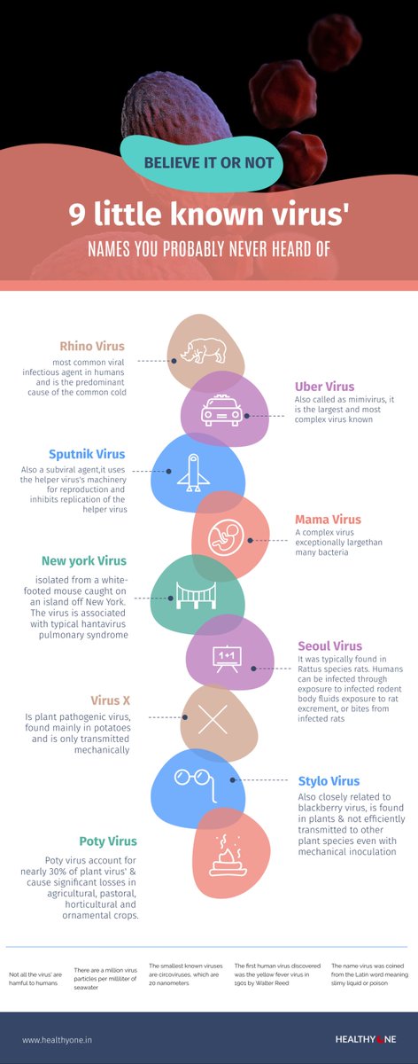Virus? The good, bad &amp; the ugly! 🙃 #virus