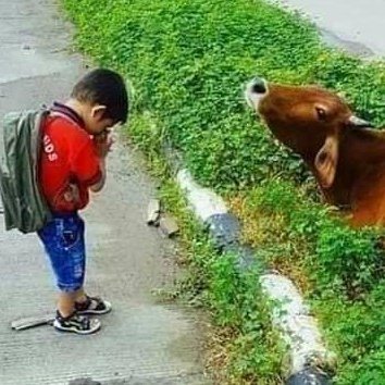 AnilReja's tweet photo. #Gaay #Hamari #Mata #Hai #Humko.#Kuchh #Nahi #Aata #Hai
@rthakur07208505 @Sabhapa30724463 @ALOKPATWARI @KiranSi27813888 di @aashi_871 @induparihar2 @Poojamadan17 @Vandana82758282 @imNehaji @Me_vanshu @Sheetal83879466 @impooja23 @SanggitaT @nikhiljainvashi @Parasgpt0707199 https://t.co/uh1NeEDIwx