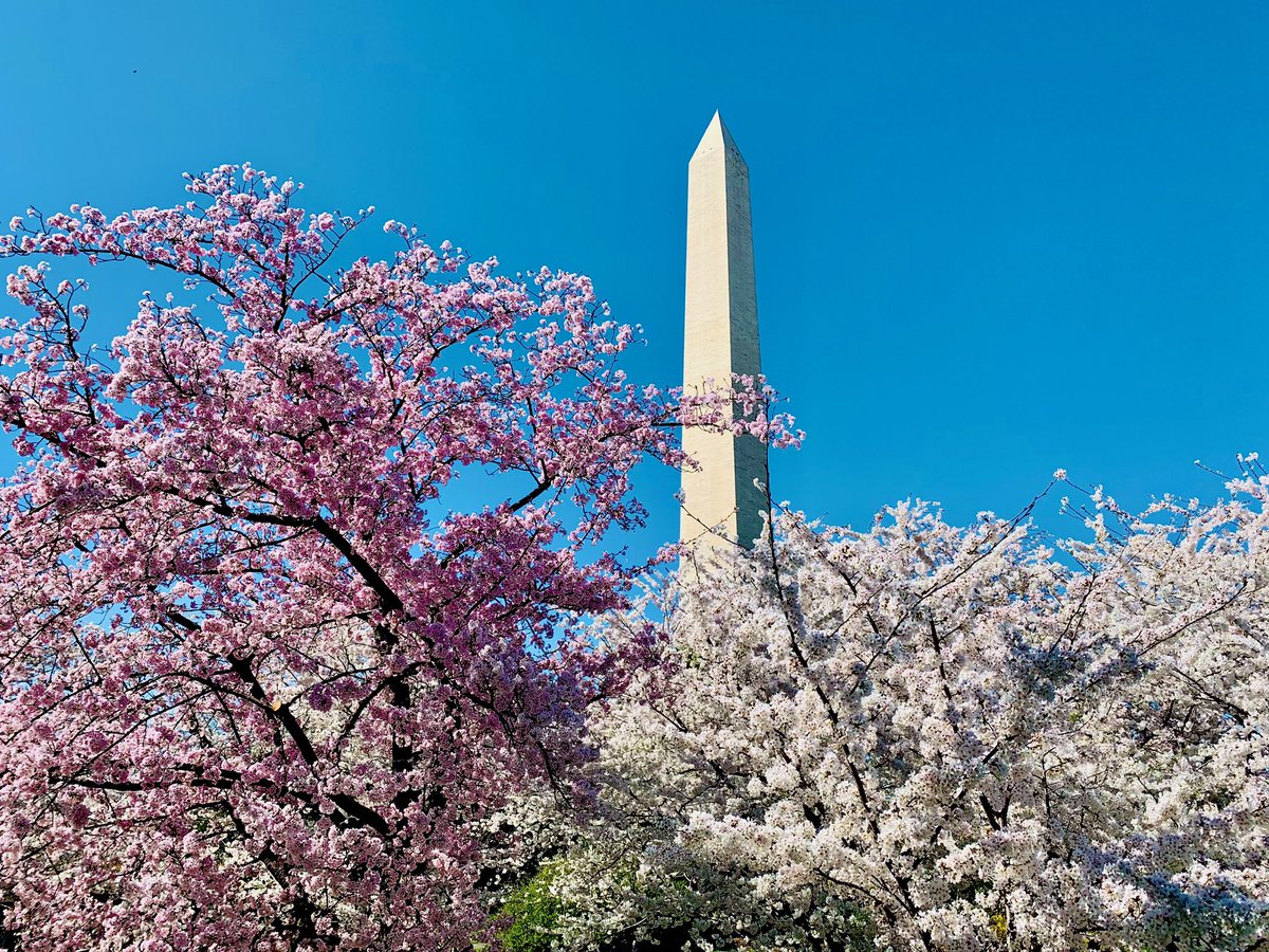 Zack Torrano tweet media