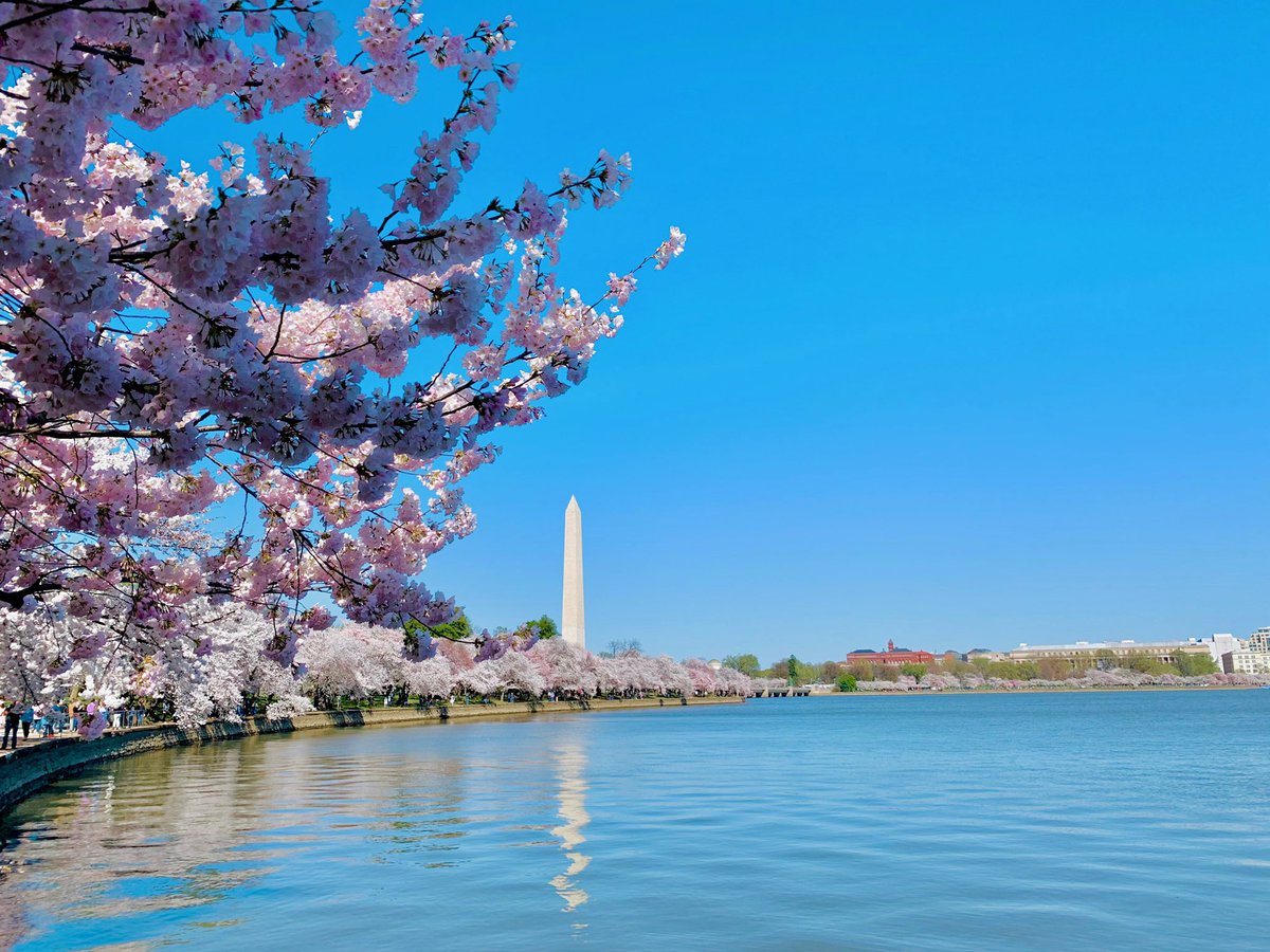 Zack Torrano tweet media