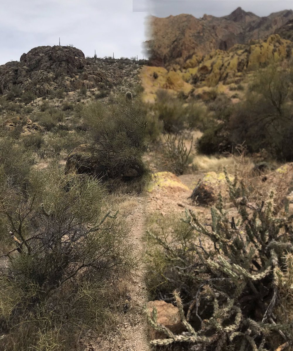 Angel_M_Baker's tweet photo. It’s been a while since I tweeted about an #energyvortex trip but I just had one and I want to talk about it! Anyone out there experience #SuperstitionMountains in Arizona? This is what happens when you take a photo?! 🤷‍♀️🌀 🏜 🌵 https://t.co/pleYXTdknc