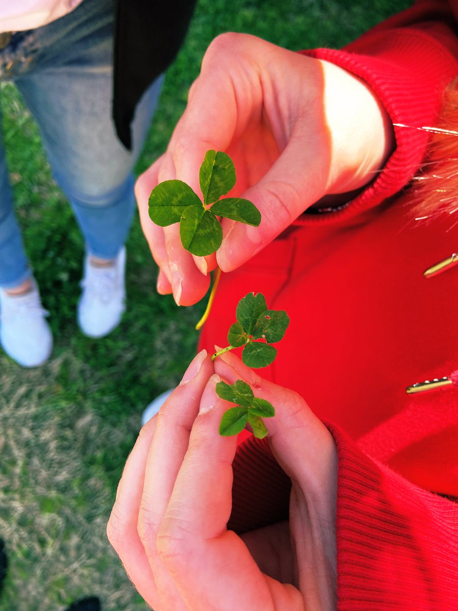 Knightlife_MHS's tweet photo. 4 leaf clovers arenβt that rare...the students who look for them are!πππππ@GriffinAdmin @mhs_bears @sherrihardy9 @ed_schur #mhsart #4leafclover #lucky #springflora #mhsluck https://t.co/eJHSxAjtoF