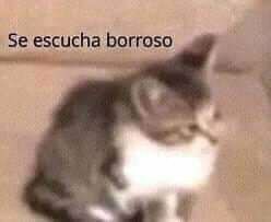 Manurossis's tweet photo. Mi hermana de 15 años estaba aburrida y me empezó a tirar peluches, en eso se equivoca y me tira un oso que hace luces y canta (todo duro por dentro)
Yo: https://t.co/D1ujK9rEJW