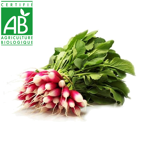 Talents_dIci's tweet photo. PROMOTION de la semaine :  le lot de 2 bottes de radis bio : 2 € au lieu de 3 !
https://t.co/Kc4CvgcG9I https://t.co/A9iLbV0Ip8