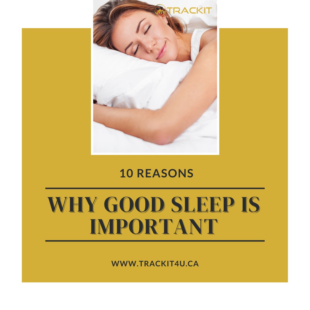 Trackit10's tweet image. 10 Reasons Why Good Sleep Is Important

➡️ CLICK HERE TO READ THE FULL ARTICLE »

🌐 - bit.ly/3mf9VSh

#bathroomweightscale #bluetoothweightscale #BMIscale #bodyanalysisapp #bodycomposition #analyzer #bodymassindex #fitnessevaluationreport #smartbodyfatscale #smartbody
