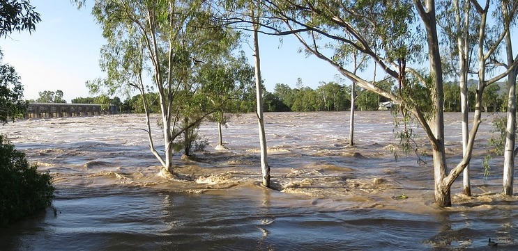 Griffith_Uni's tweet photo. #GriffithUni researchers are developing a low-cost tool for rapid detection of Cryptosporidium in drinking and recreational water as part of a new @arc_gov_au #LinkageProject https://t.co/HxwGt3IKBk https://t.co/Scc1xjVHN1