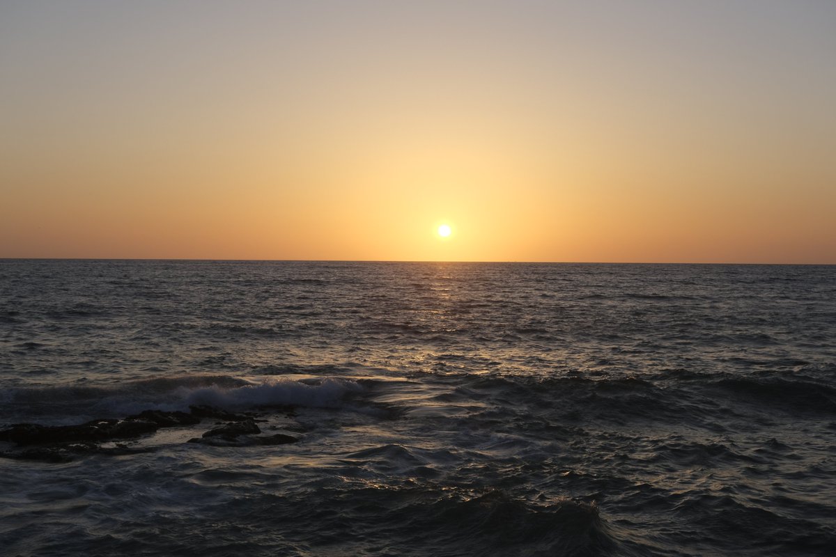 TravelingMooses's tweet photo. Paradise.
#sandiego #sunset #fuji #xt4 #beachtimes #nature https://t.co/7lTJhbCFw8