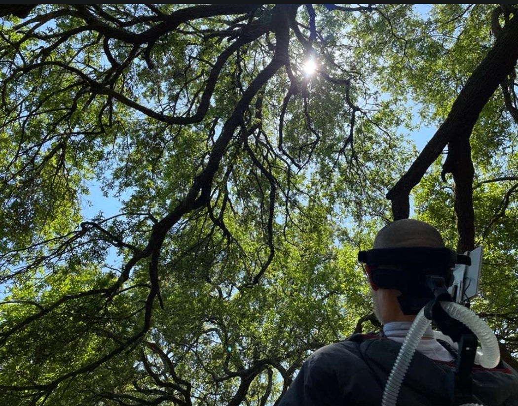 I'm not promised tomorrow (like you), so nearly every day feels like the greatest day, but if you live in the New Orleans region, was today the greatest weather?! The sky seems more blue, and the leaves more green! 
At the Soul of the Oak tree, there are no problems to solve.
