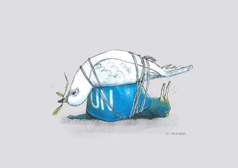Save myanmar