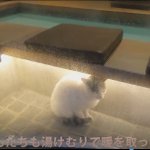 ツイートに含まれる画像