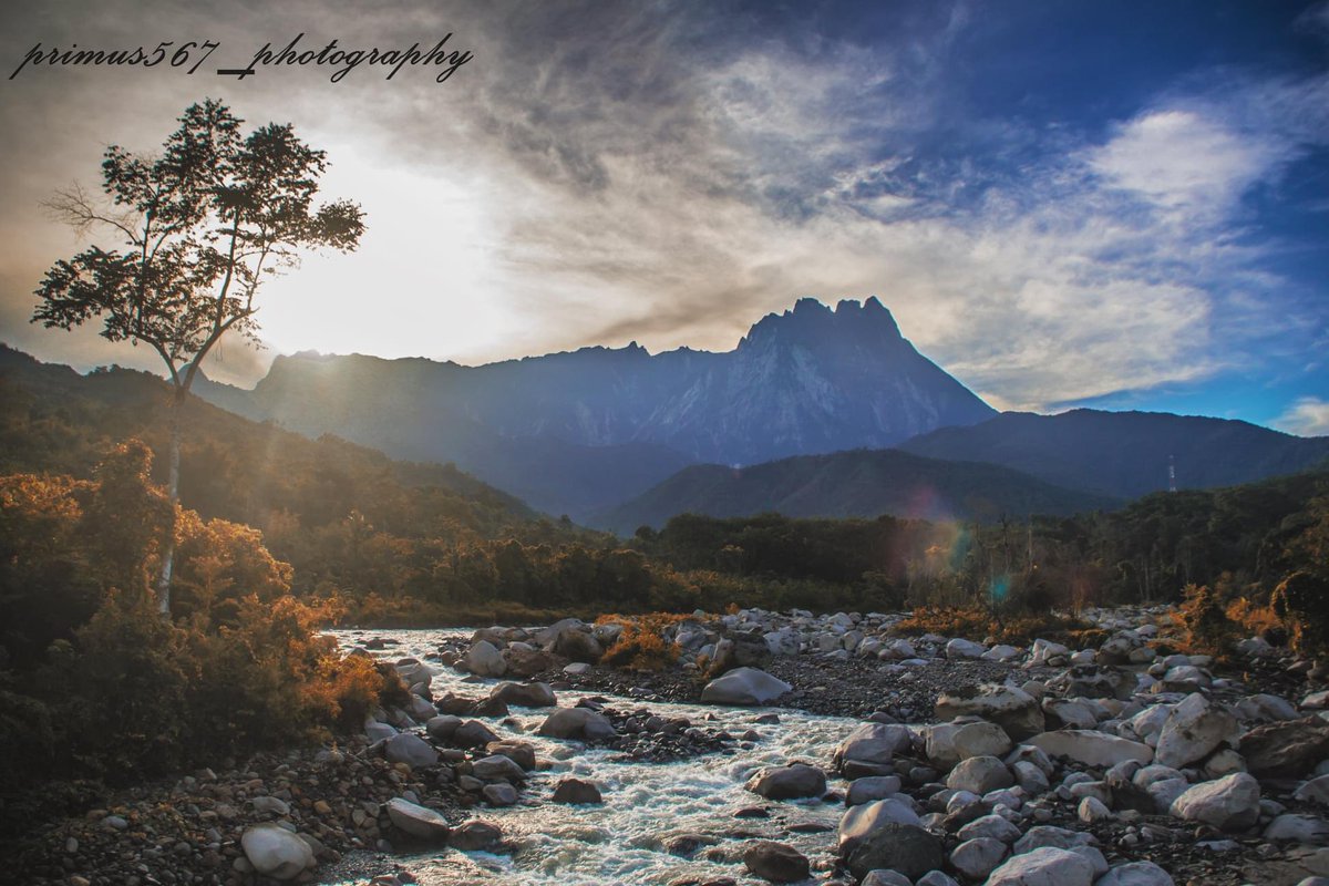 primus567 tweet media