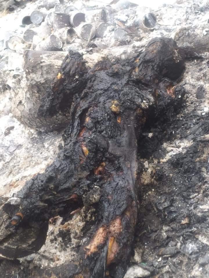 NandarA13496622's tweet photo. 🛑A unarmed civilian, again BURNED TO DEATH ALIVE in #SouthDagon by terrorists military group😱
VERY INHUMANE ACT‼️ 
The whole military SAC should disappear from the world NOW‼️
#WhatsHappeningInMyanmar #Mar30Coup
@RapporteurUn @ICJ_Asia @ICJ_org @CIJ_ICJ @UN_HRC @eAsiaMediaHub https://t.co/5RCSZS0CdO